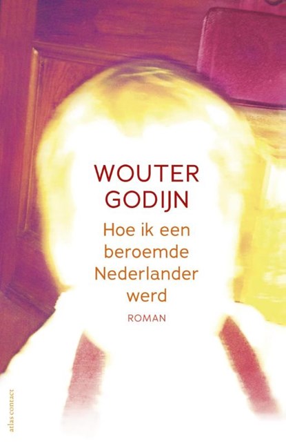 Hoe ik een beroemde Nederlander werd, Wouter Godijn - Paperback - 9789020413151