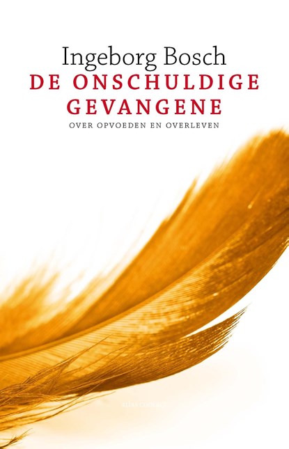 De onschuldige gevangene, Ingeborg Bosch - Ebook - 9789020430691