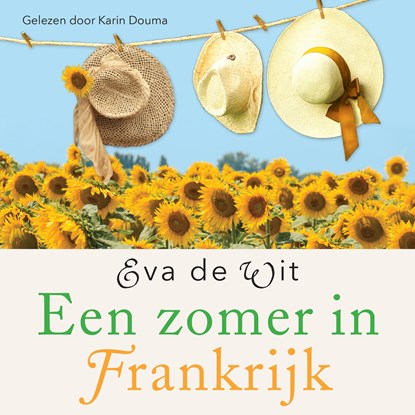 Een zomer in Frankrijk, Eva de Wit - Luisterboek MP3 - 9789020536683