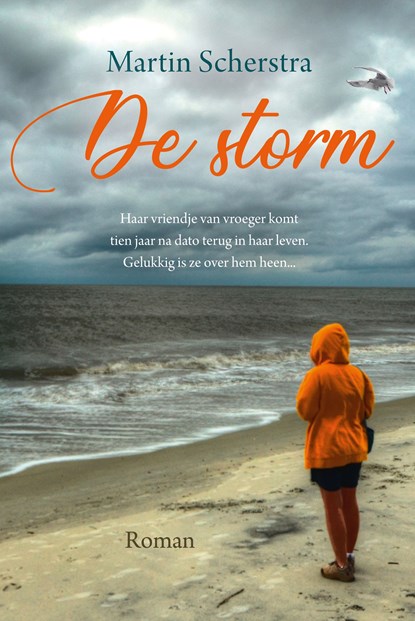 De storm, Martin Scherstra - Ebook - 9789020537178