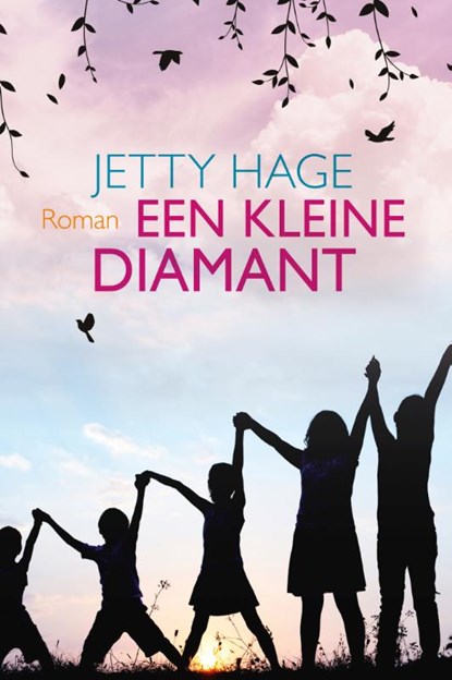 Een kleine diamant, Jetty Hage - Gebonden - 9789020537444