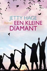 Een kleine diamant - Jetty Hage - 9789020537451