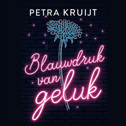 Blauwdruk van geluk, Petra Kruijt - Luisterboek MP3 - 9789020539769