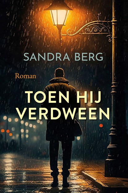 Toen hij verdween, Sandra Berg - Ebook - 9789020553543