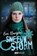 Sneeuwstorm, Eva Burgers - Gebonden - 9789020609554