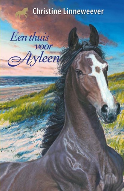 Een thuis voor Ayleen, Christine Linneweever - Gebonden - 9789020622881