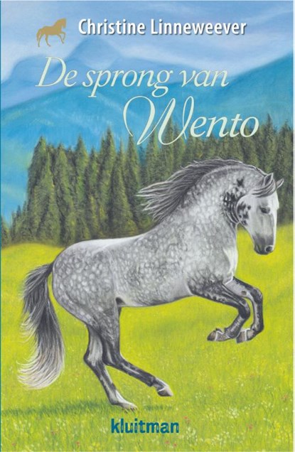 De sprong van Wento, Christine Linneweever - Gebonden - 9789020622942