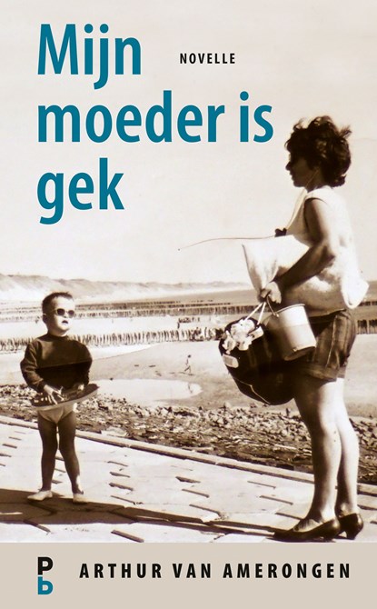 Mijn moeder is gek, Arthur van Amerongen - Ebook - 9789020631142