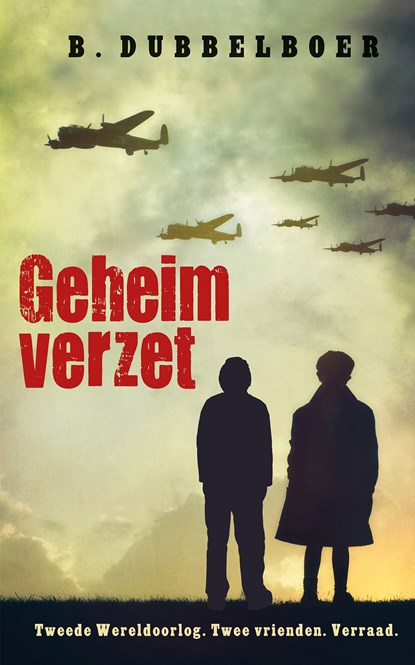 Geheim verzet, B Dubbelboer - Ebook - 9789020631272