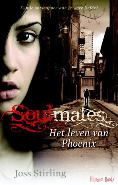 Het verhaal van Phoenix, Joss Stirling - Ebook - 9789020632675