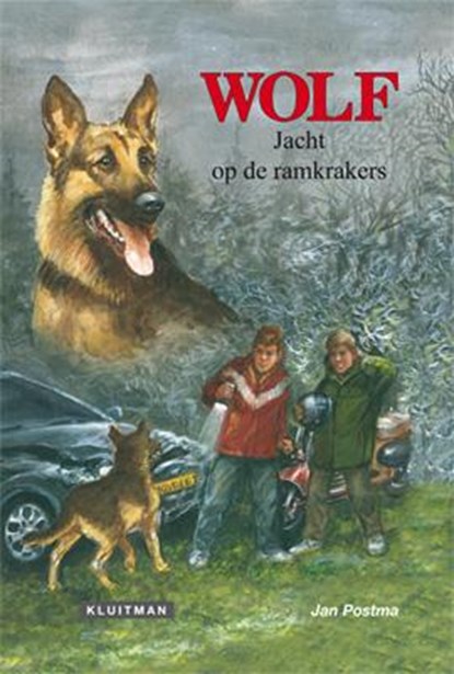 Jacht op de ramkrakers, Jan Postma - Paperback - 9789020634303
