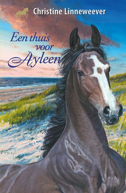 Een thuis voor Ayleen, Christine Linneweever - Ebook - 9789020634853