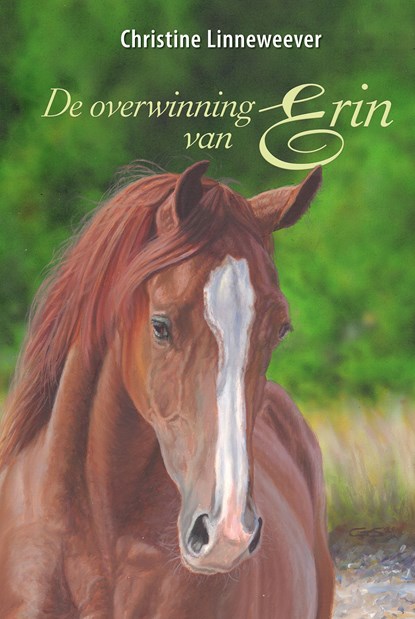 De overwinning van Erin, Christine Linneweever - Ebook - 9789020635676