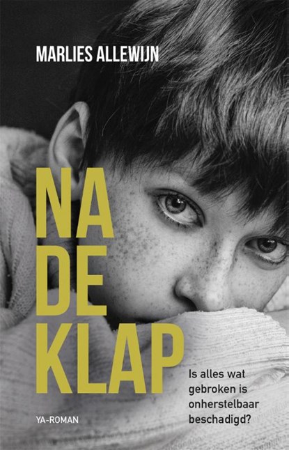 Na de klap, Marlies Allewijn - Paperback - 9789020654707