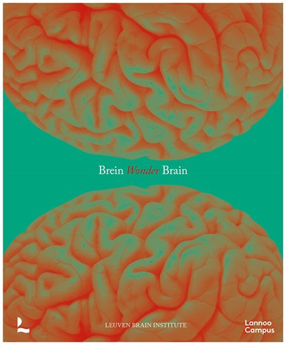 Breinwonder / Wonder Brain, Mathieu Vandenbulcke ; Ann Van der Jeugd - Ebook - 9789020958928