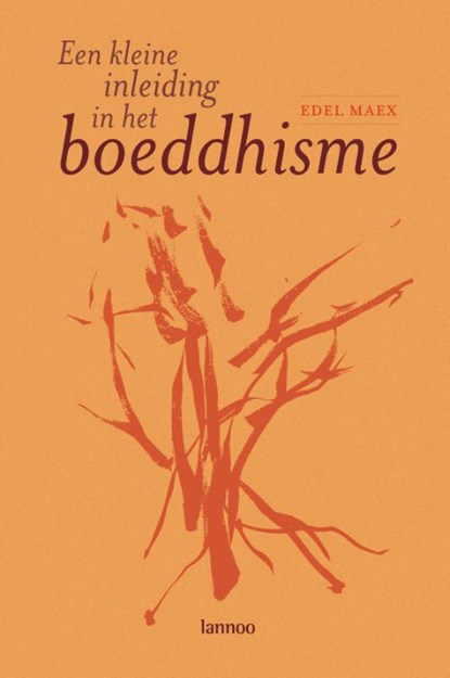 Een kleine inleiding in het boeddhisme, E. Maex - Gebonden - 9789020963069