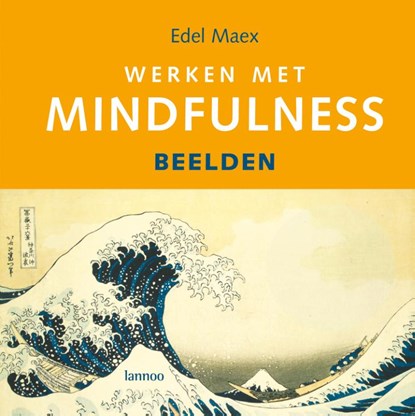 Werken met Mindfulness, E. Maex - Gebonden - 9789020971569