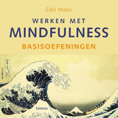 Werken met mindfulness Basisoefeningen, E. Maex - Gebonden - 9789020976762