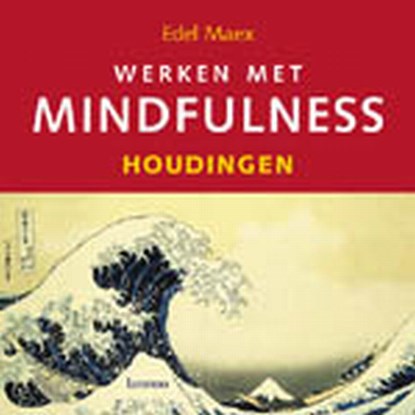 Werken met mindfulness - Houdingen (incl. cd), Edel Maex - Gebonden - 9789020976793