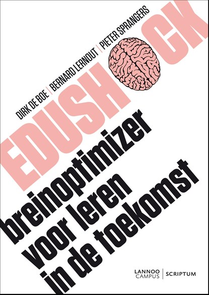 Edushock, Dirk de Boe ; Bernard Lernout ; Pieter Sprangers - Ebook - 9789020978834