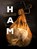Ham, Stefaan Daeninck - Gebonden - 9789020988048