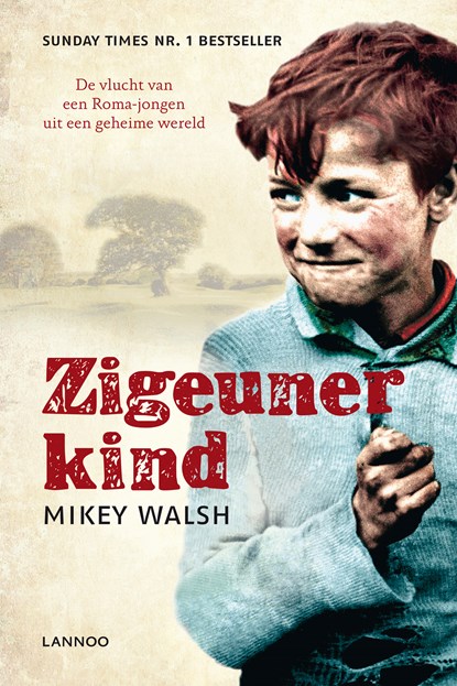 Zigeunerkind, Mikey Walsh - Ebook - 9789020996227
