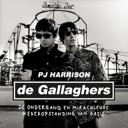 De Gallaghers, PJ Harrison - Luisterboek MP3 - 9789021057262