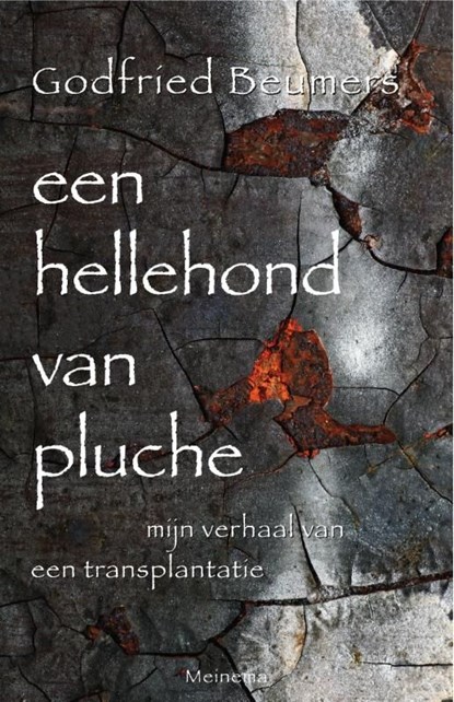 Een hellehond van pluche, Godfried Beumers - Ebook - 9789021144115