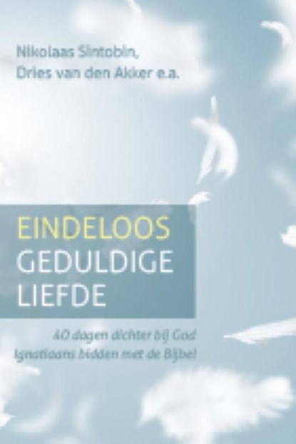 Eindeloos geduldige liefde, Nikolaas Sintobin ; Dries van den Akker - Paperback - 9789021170367