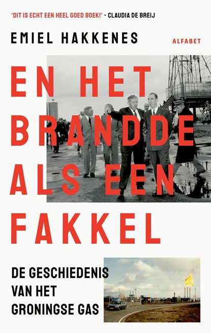 En het brandde als een fakkel, Emiel Hakkenes - Ebook - 9789021343006