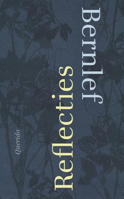 Reflecties, Bernlef - Paperback - 9789021400754