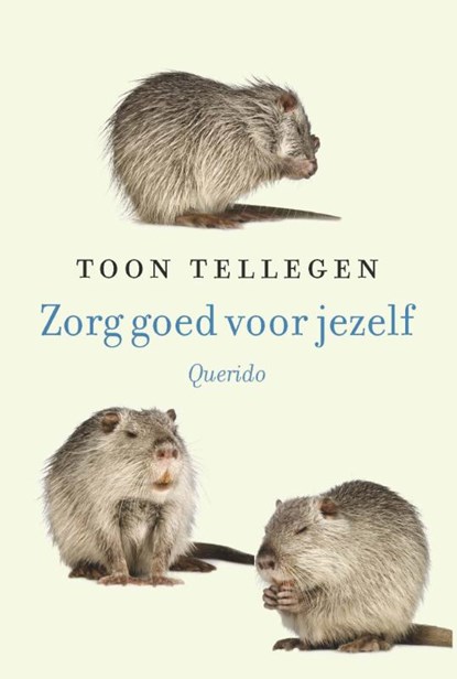 Zorg goed voor jezelf, Toon Tellegen - Gebonden - 9789021400921