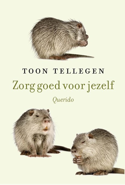 Zorg goed voor jezelf, Toon Tellegen - Ebook - 9789021400938