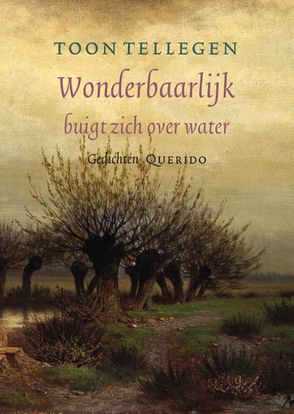 Wonderbaarlijk buigt zich over water, Toon Tellegen - Paperback - 9789021403564