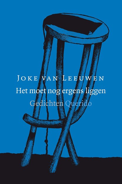Het moet nog ergens liggen, Joke van Leeuwen - Paperback - 9789021403977