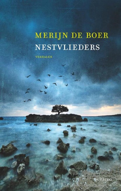 Nestvlieders, Merijn de Boer - Paperback - 9789021406688