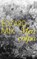 Mea culpa, Edzard Mik - Paperback - 9789021407043