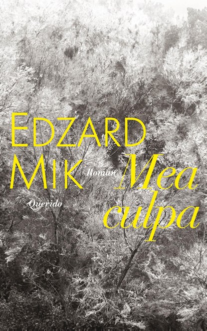 Mea culpa, Edzard Mik - Ebook - 9789021407050