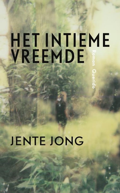 Het intieme vreemde, Jente Jong - Paperback - 9789021407449