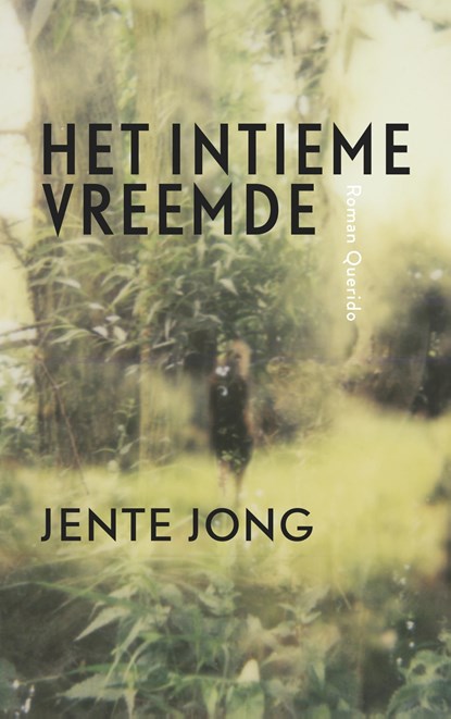 Het intieme vreemde, Jente Jong - Ebook - 9789021407456