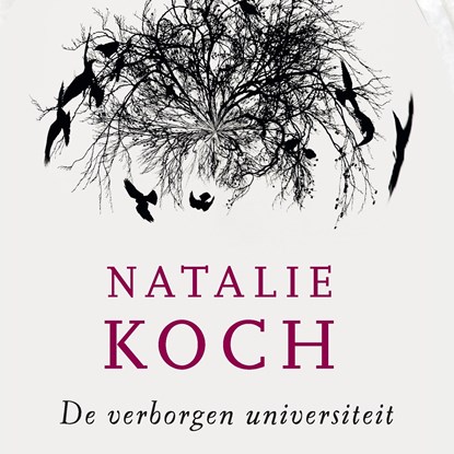 De erfenis van Richard Grenville, Natalie Koch - Luisterboek MP3 - 9789021407616