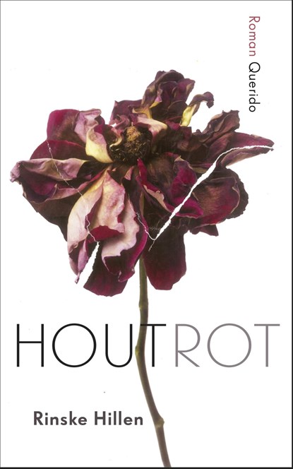 Houtrot, Rinske Hillen - Ebook - 9789021407739