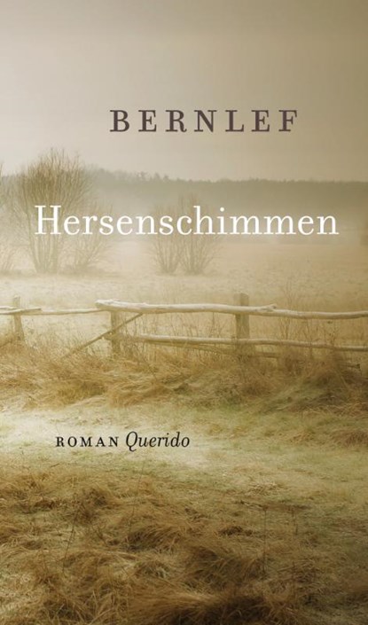 Hersenschimmen, Bernlef - Gebonden - 9789021408057
