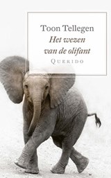 Het wezen van de olifant - Toon Tellegen - 9789021408262