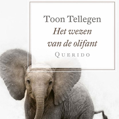 Het wezen van de olifant, Toon Tellegen - Luisterboek MP3 - 9789021412634