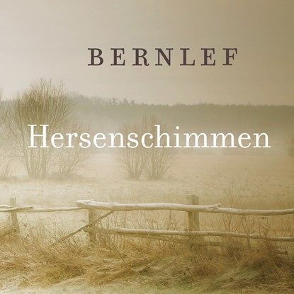 Hersenschimmen, Bernlef - Luisterboek MP3 - 9789021412689
