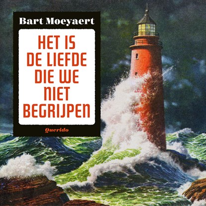 Het is de liefde die we niet begrijpen, Bart Moeyaert - Luisterboek MP3 - 9789021416601