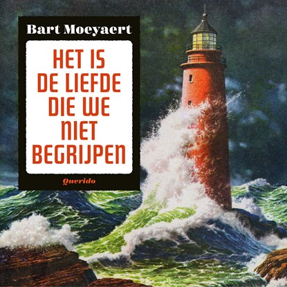 Het is de liefde die we niet begrijpen, Bart Moeyaert - Luisterboek MP3 - 9789021416601