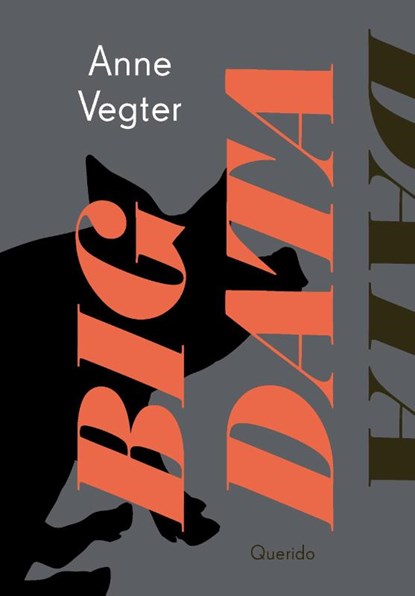 Big data, Anne Vegter - Paperback - 9789021417257