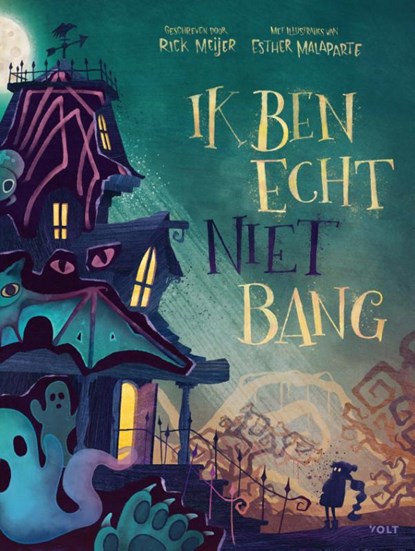 Ik ben echt niet bang, Rick Meijer - Gebonden - 9789021418025